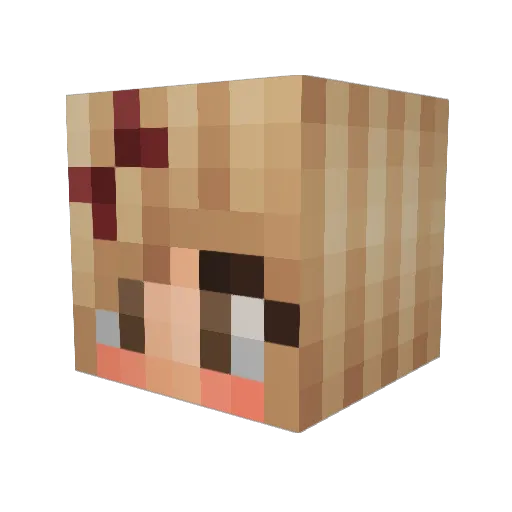 Giantpony321 Minecraft avatar head, 3D render