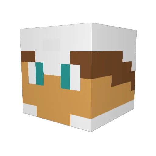 Gib_roni Minecraft avatar head, 3D render