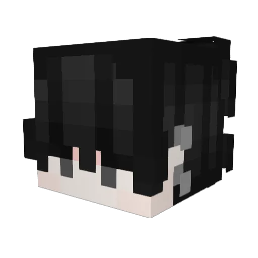 Gibby9969 Minecraft avatar head, 3D render