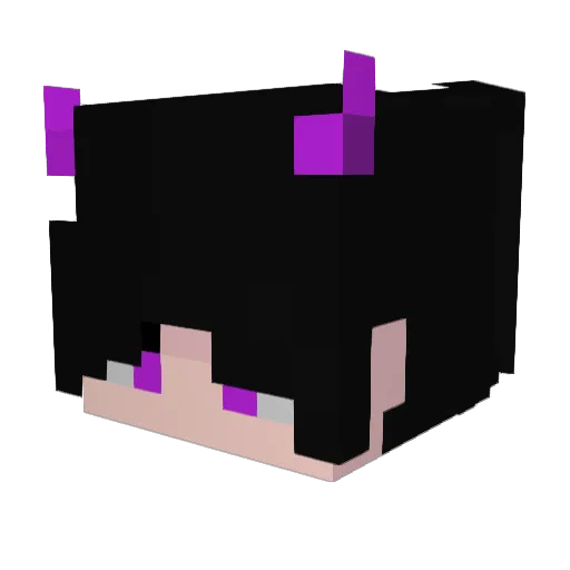 Gidgidd0ni Minecraft avatar head, 3D render