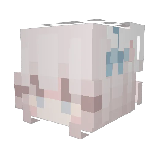 Gift0 Minecraft avatar head, 3D render