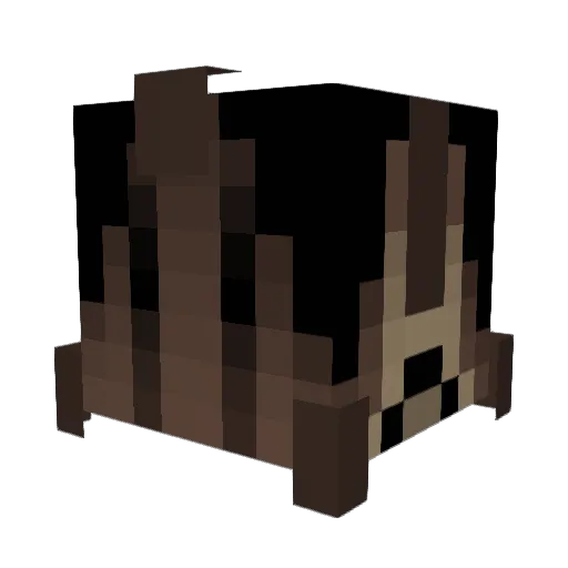 Gigglenutz Minecraft avatar head, 3D render