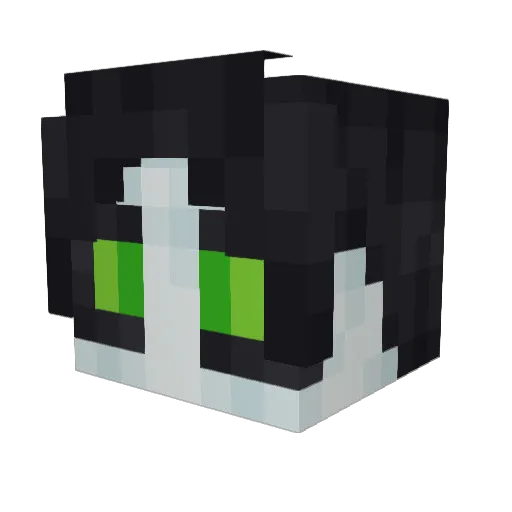 Giggles771 Minecraft avatar head, 3D render