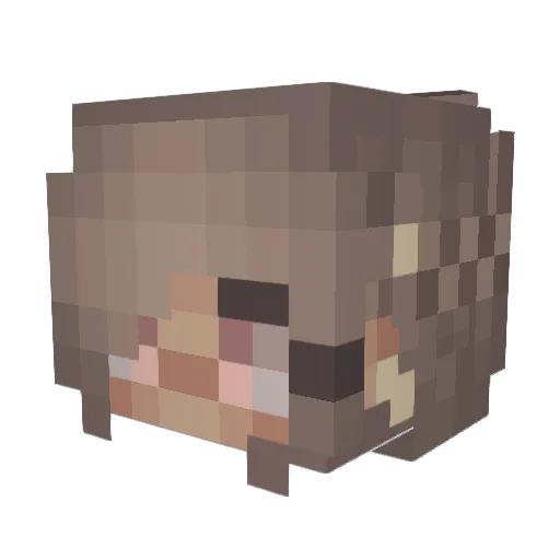 Gigi_1312 Minecraft avatar head, 3D render