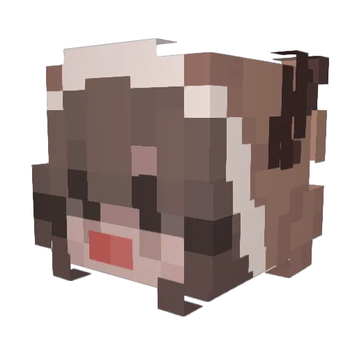 Gigiow Minecraft avatar head, 3D render