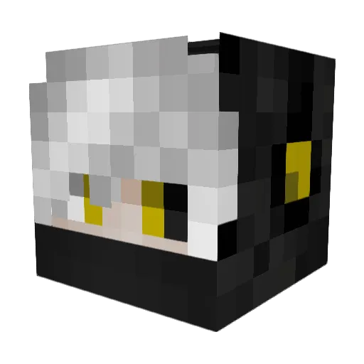 Gigoll0 Minecraft avatar head, 3D render