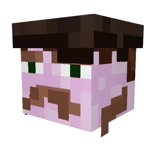 GijsEnRobin Minecraft avatar head, 3D render