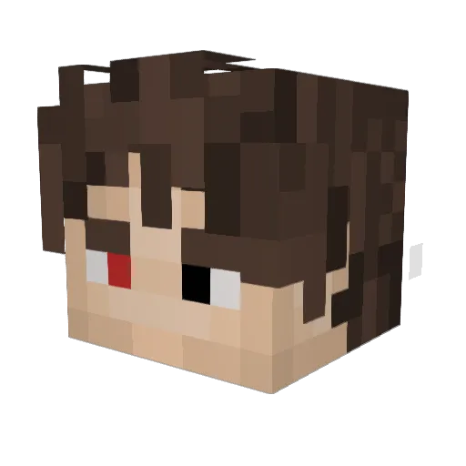 Gill_Grayish Minecraft avatar head, 3D render