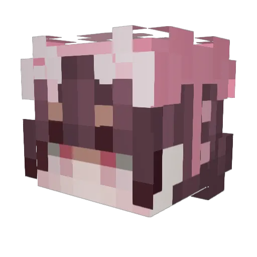Gillis1421 Minecraft avatar head, 3D render
