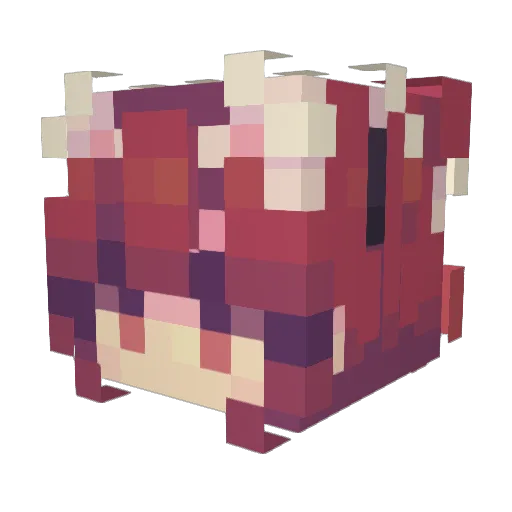 Gillop Minecraft avatar head, 3D render
