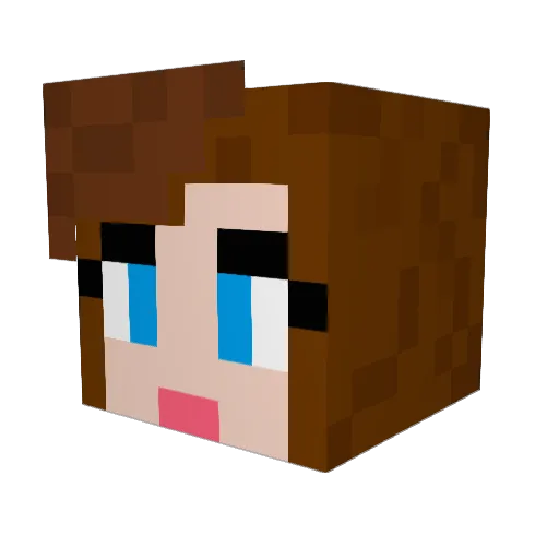 GillyGranger Minecraft avatar head, 3D render