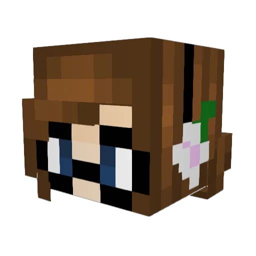 Gillybelly Minecraft avatar head, 3D render