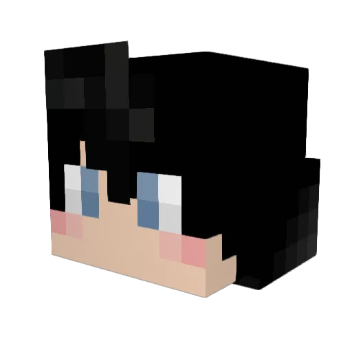 Gilmoy Minecraft avatar head, 3D render