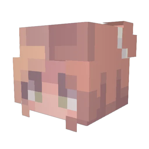 Gimgim2 Minecraft avatar head, 3D render