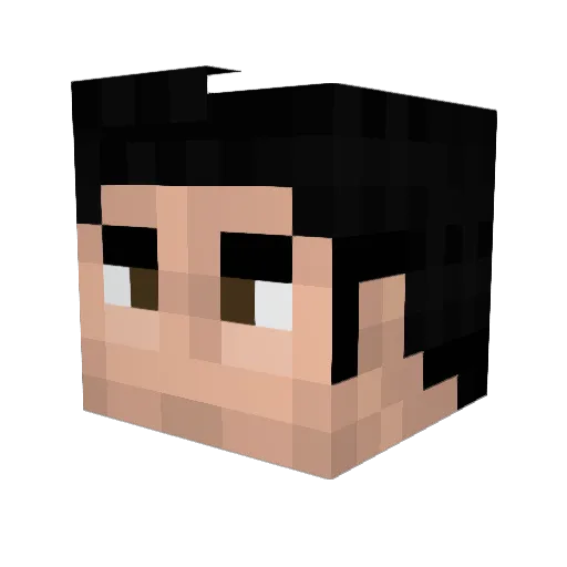 GimmeUrMoney Minecraft avatar head, 3D render