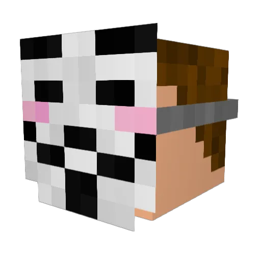 Gimrock2003 Minecraft avatar head, 3D render