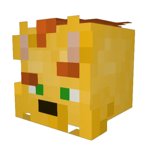 Gin9811 Minecraft avatar head, 3D render