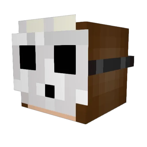 Gina1604 Minecraft avatar head, 3D render