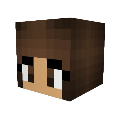 Gina1896 Minecraft avatar head, 3D render