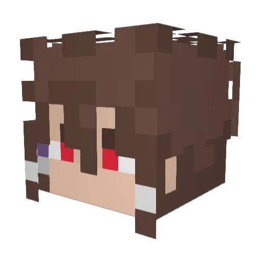Ginalli Minecraft avatar head, 3D render