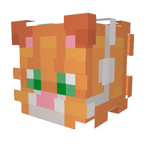 GingaTom Minecraft avatar head, 3D render