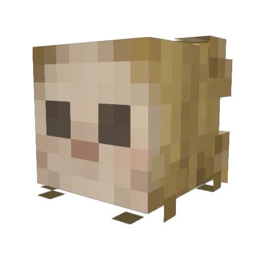 Gingahm Minecraft avatar head, 3D render