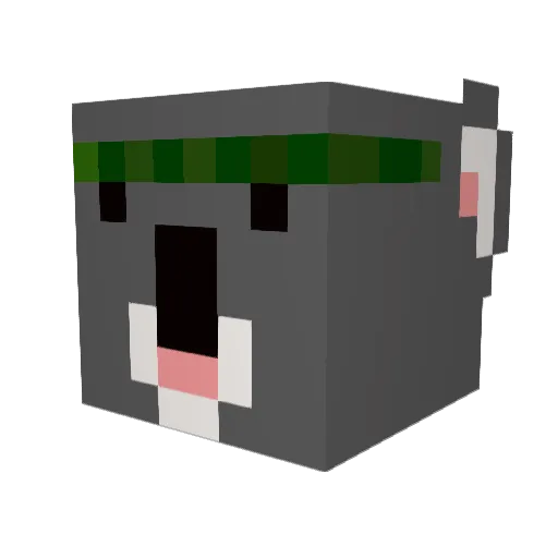GingerKoala19 Minecraft avatar head, 3D render