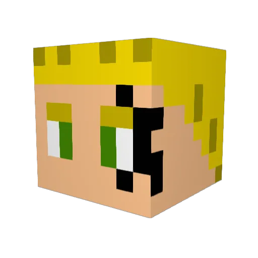 GingerNinja1317 Minecraft avatar head, 3D render