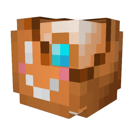GingerSnaplings Minecraft avatar head, 3D render