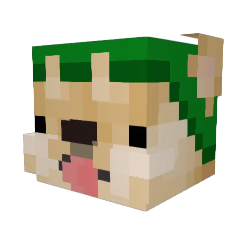 Ginger_foz Minecraft avatar head, 3D render