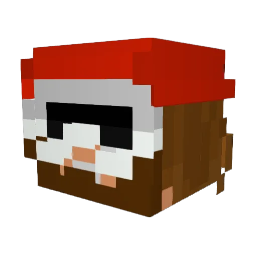 Gingerfoo69 Minecraft avatar head, 3D render