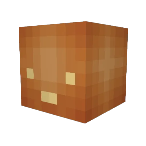 Gingerplurr Minecraft avatar head, 3D render