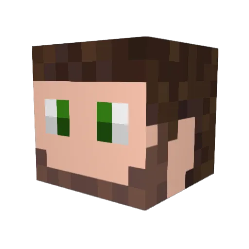 Ginkous Minecraft avatar head, 3D render