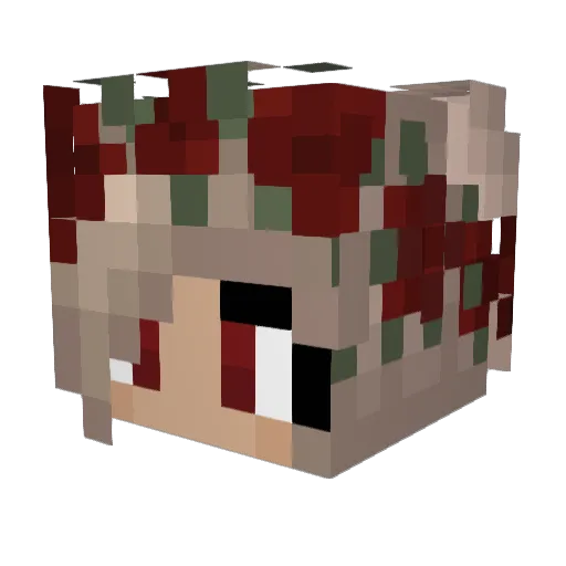 Ginnybee Minecraft avatar head, 3D render