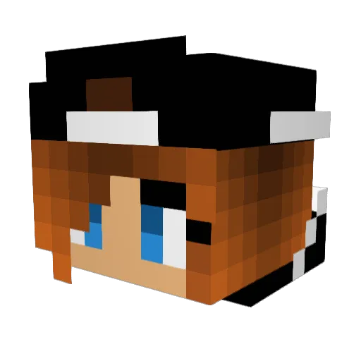 Ginu2003 Minecraft avatar head, 3D render