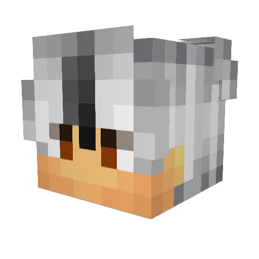 GinxXTayo Minecraft avatar head, 3D render