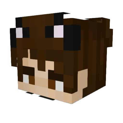 Gio545 Minecraft avatar head, 3D render
