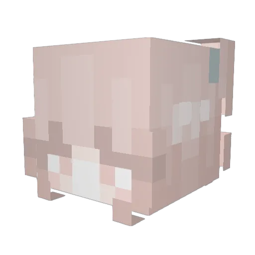 GioiaLee Minecraft avatar head, 3D render