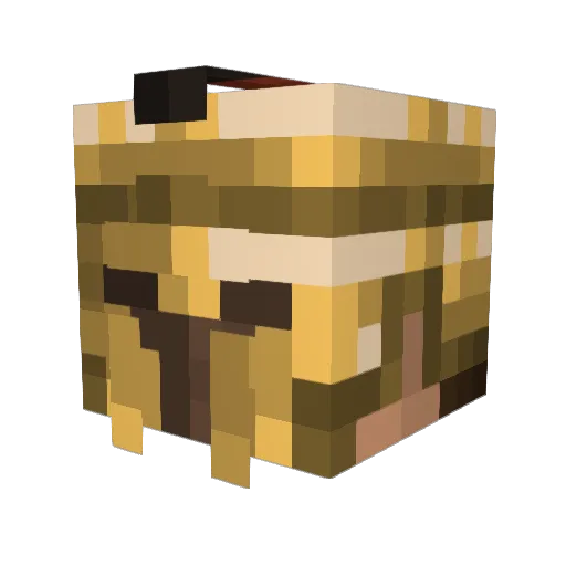Giomitico Minecraft avatar head, 3D render