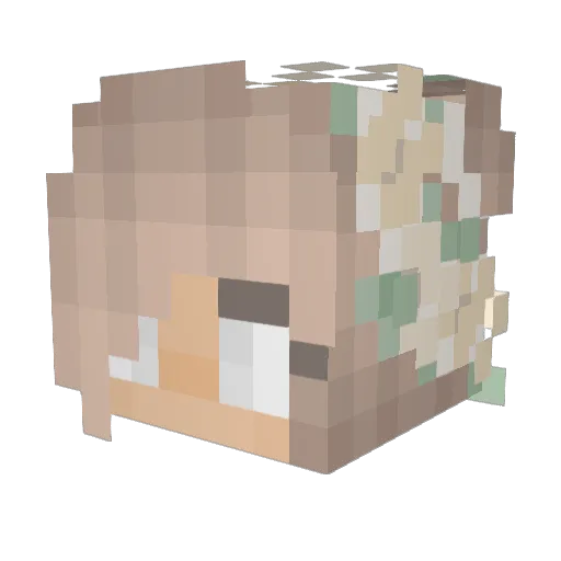 Girl12345 Minecraft avatar head, 3D render
