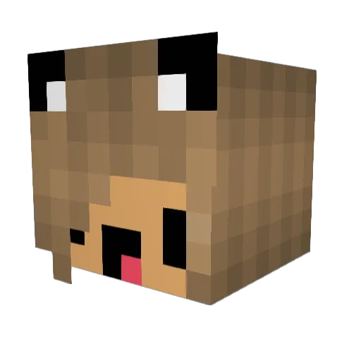 GirlGamer66 Minecraft avatar head, 3D render
