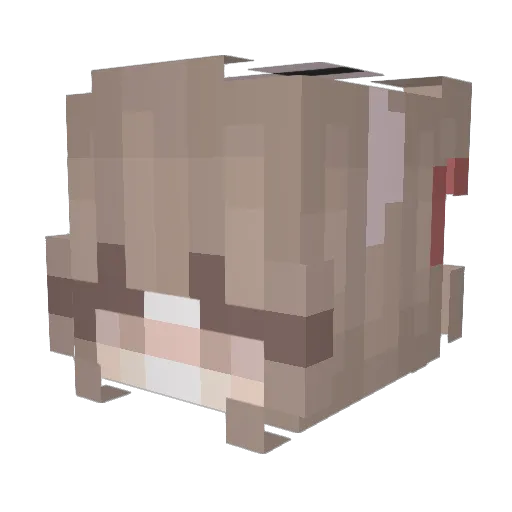 Girl___ Minecraft avatar head, 3D render