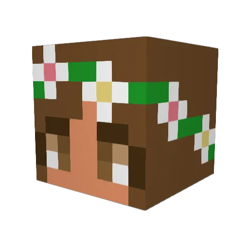 GirlyGamer_Pro Minecraft avatar head, 3D render