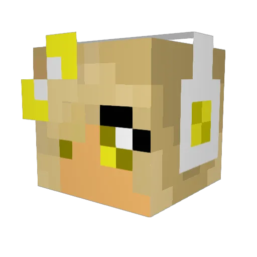 Girly_Nacho Minecraft avatar head, 3D render