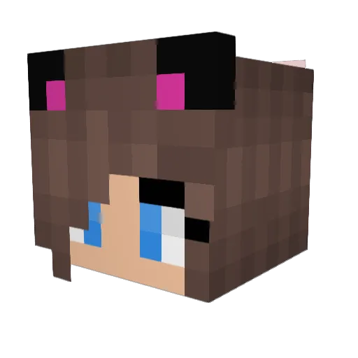 Gismo000 Minecraft avatar head, 3D render