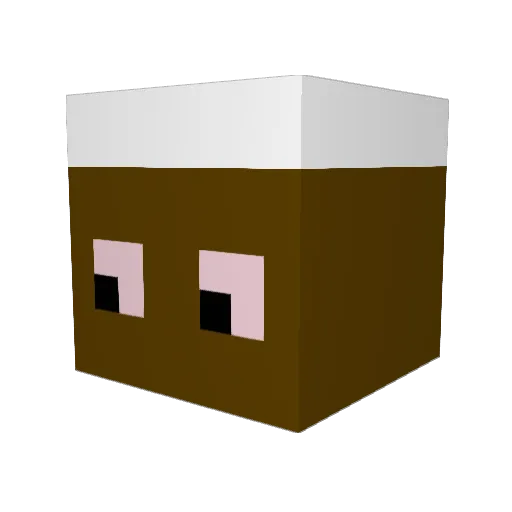 Gitziom Minecraft avatar head, 3D render