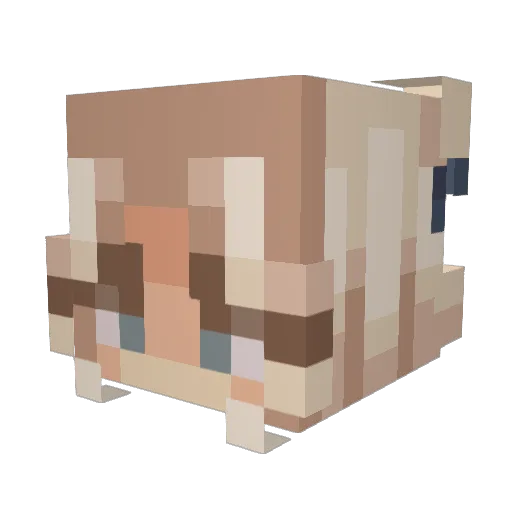 Giulia999 Minecraft avatar head, 3D render