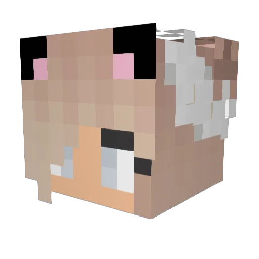 Giuliana123 Minecraft avatar head, 3D render