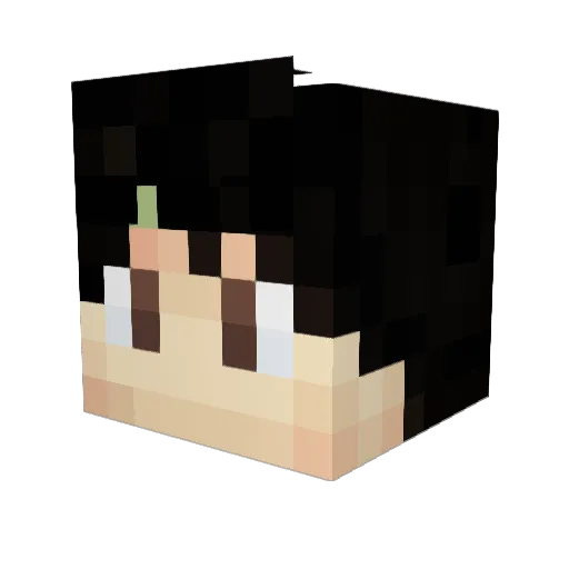 Giuras11 Minecraft avatar head, 3D render