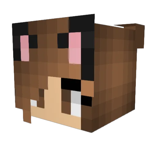 GiveMeMoney8 Minecraft avatar head, 3D render